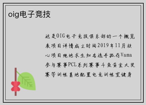 oig电子竞技